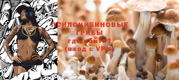 apvp Волоколамск