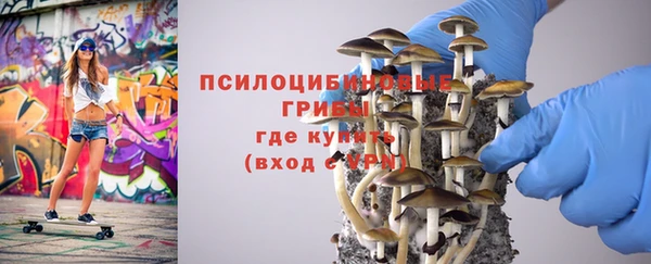 хмурый Волосово