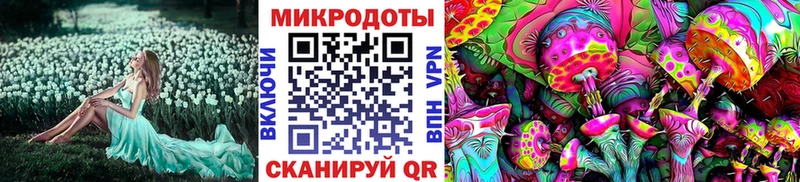 хочу   Новосокольники  Галлюциногенные грибы ЛСД 