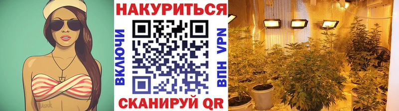 kraken онион  даркнет сайт  Новосокольники  Марихуана план 